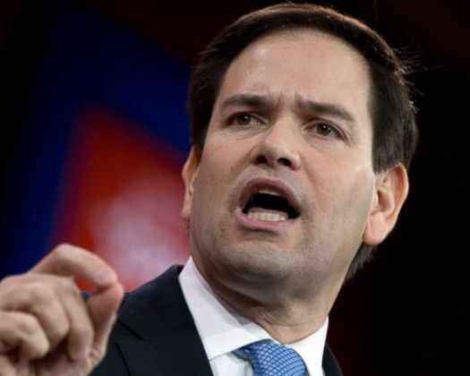 Marco Rubio Calls on USCIS to Ensure Eligible Immigrants are Able to Complete Citizenship Process
